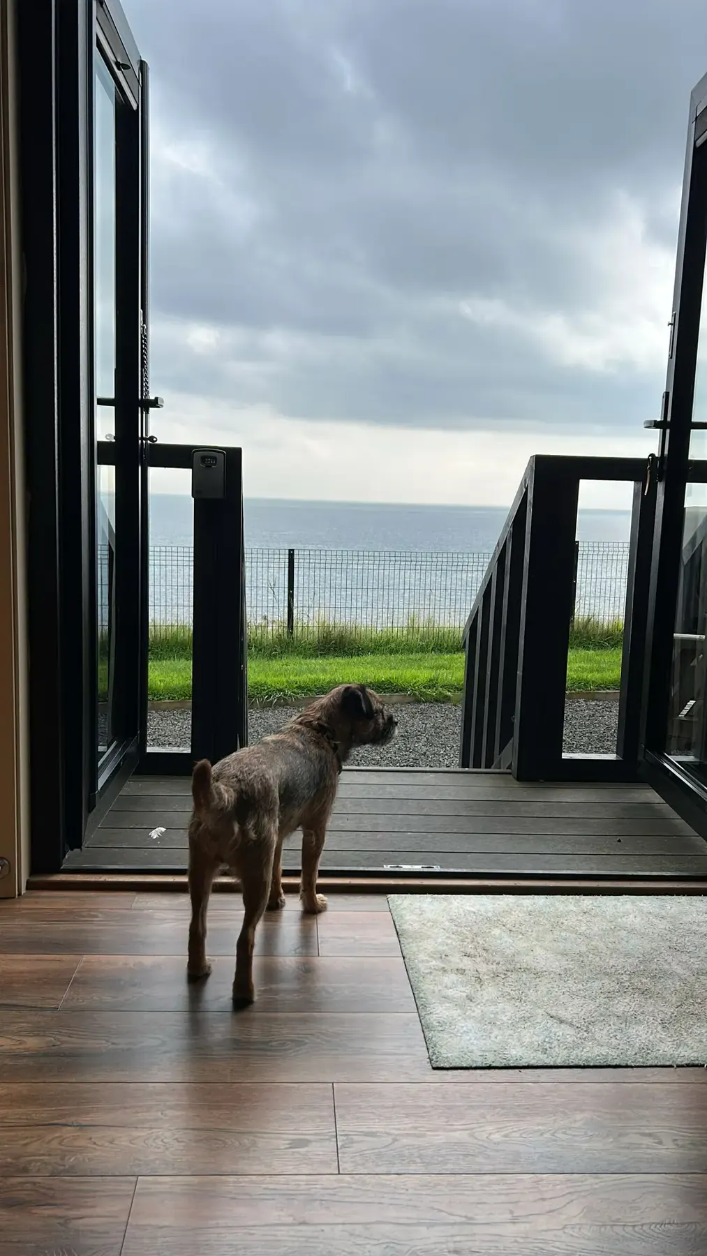 A dog looking out from a pet-friendly hut towards the sea