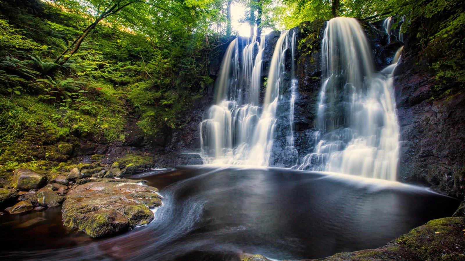 Glenariff Forest Park on the Antrim Coast